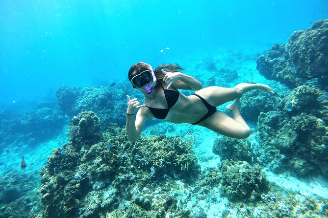 The Cozumel Turtle Sanctuary Snorkel Tour - El Cielo brings starfish and mixed conditions