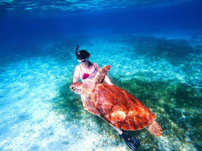 The Cozumel Turtle Sanctuary Snorkel Tour - What the $64 price really includes