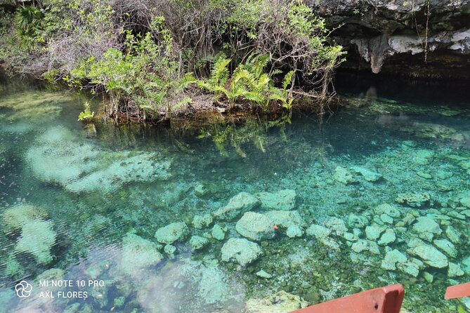 The great snorkeling adventure at the Riviera Maya private tour - Private Transport And The Long Morning Start