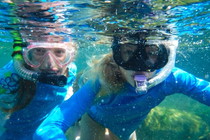The great snorkeling adventure at the Riviera Maya private tour - Should You Book It?