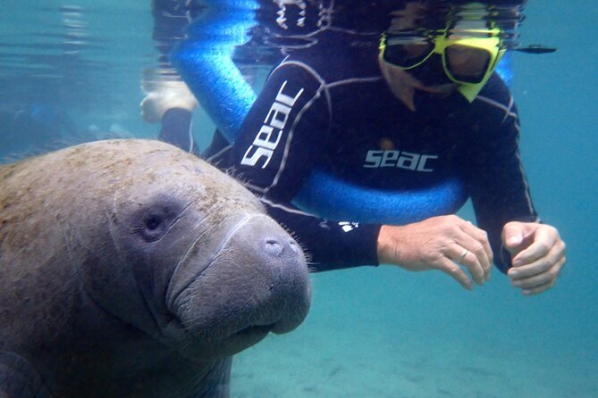 The 'OG' Manatee Snorkel Tour with In-Water Guide/Photographer - Cruising Kings Bay and Three Sisters Springs