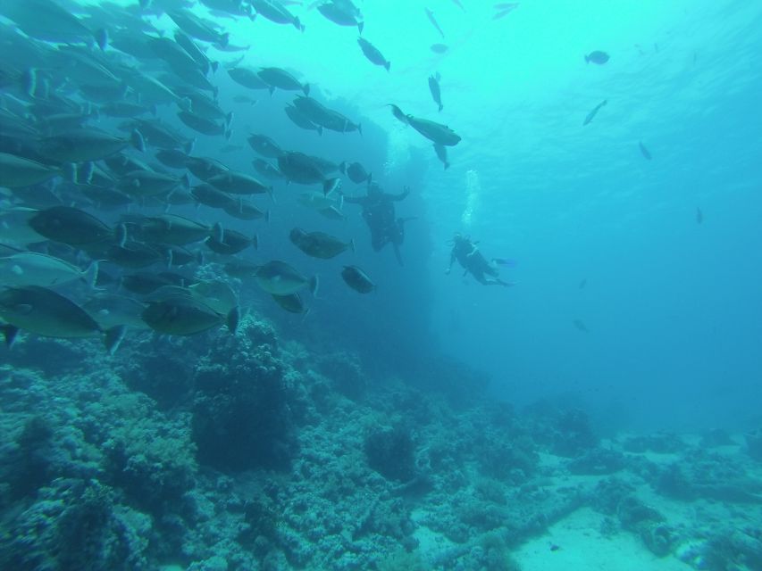 Tiran Island: Full-day Snorkeling, Diving Boat Trip - Life aboard the boat between stops