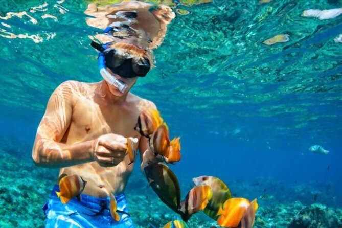 Tiran Island Snorkeling Excursion - Lunch and unlimited drinks keep the day easy