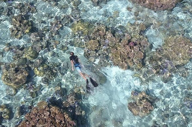 Tohora Bora Bora Snorkeling Lagoon Tours - Manta rays, leopard rays, and the main snorkeling stops