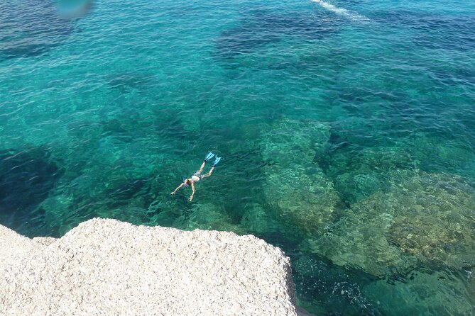 Tour to Figarolo Island with the possibility to observe dolphins - Leaving Olbia through the Gulf