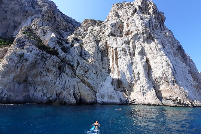 Tour to Figarolo Island with the possibility to observe dolphins - Snacks, drinks, and the small-group feel