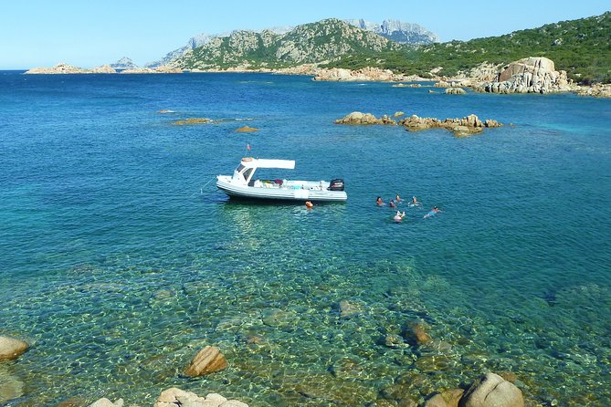 Tour to Figarolo Island with the possibility to observe dolphins - Price, timing, and practical value