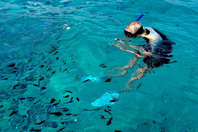 Tour to Figarolo Island with the possibility to observe dolphins - Who will enjoy this cruise most