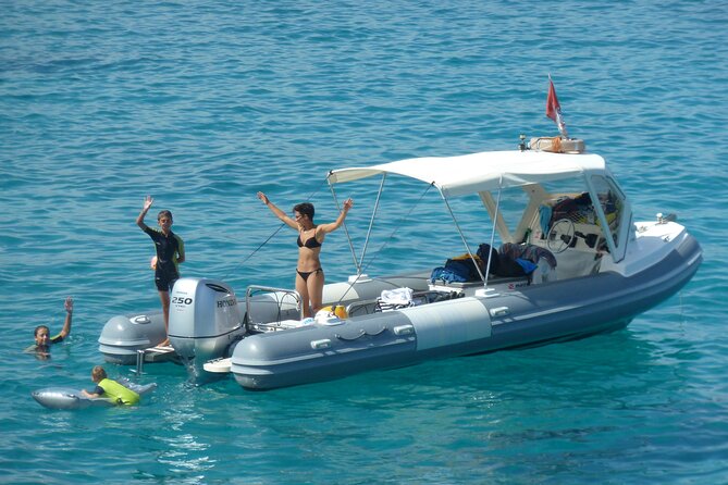 Tour to Figarolo Island with the possibility to observe dolphins - Should you book the Figarolo Island dolphin tour?