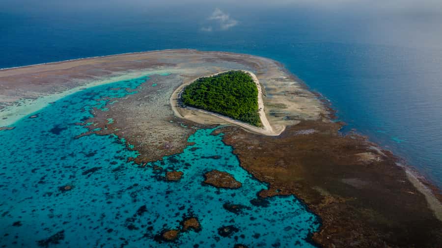 Town of 1770: Lady Musgrave Island Snorkelling Day Cruise - Key points to know before booking