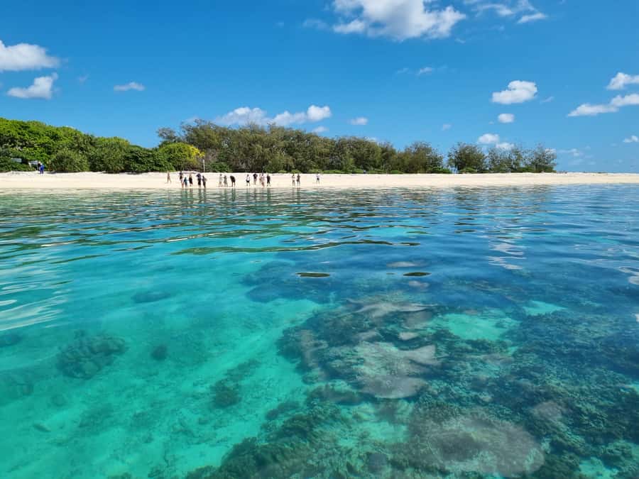 Town of 1770: Lady Musgrave Island Snorkelling Day Cruise - Snorkelling in sheltered water