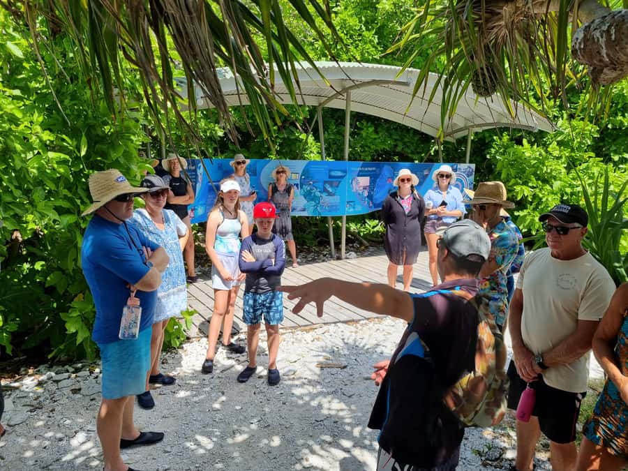 Town of 1770: Lady Musgrave Island Snorkelling Day Cruise - The glass-bottom boat for a dry view