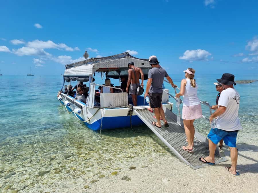 Town of 1770: Lady Musgrave Island Snorkelling Day Cruise - Practical planning from Agnes Water and 1770