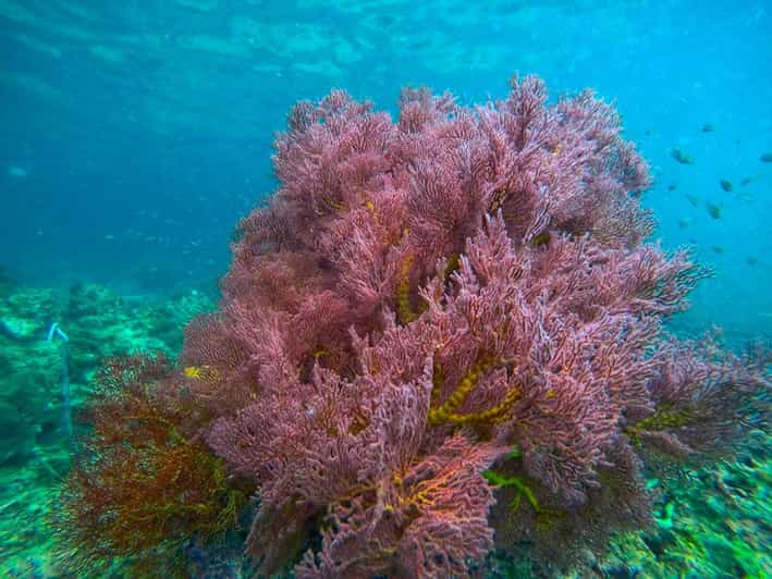 Trang: Emerald Cave, Kradan, Chueak Snorkeling Boat Trip - Lunch on the boat with the view around you