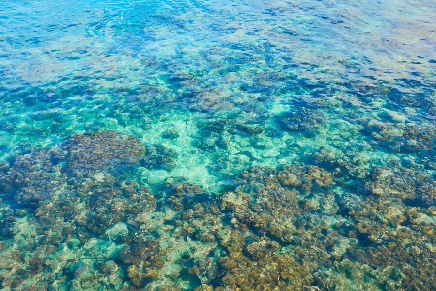 Trang: Emerald Cave, Kradan, Chueak Snorkeling Boat Trip - Snorkeling around Koh Chueak