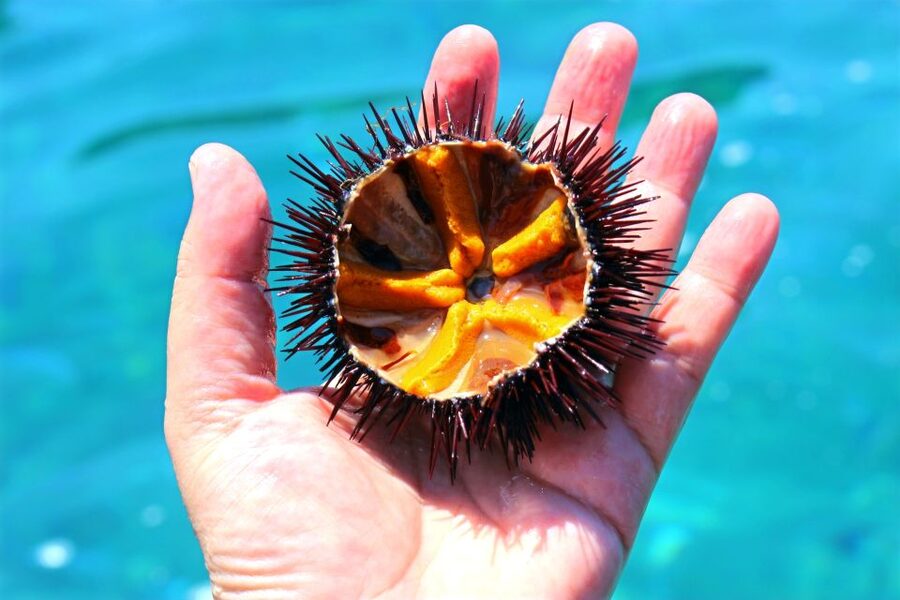 Tropea: Scoglio delle Sirene Snorkeling Cruise with Aperitif - Scoglio Galera or Praca, the longest water stop