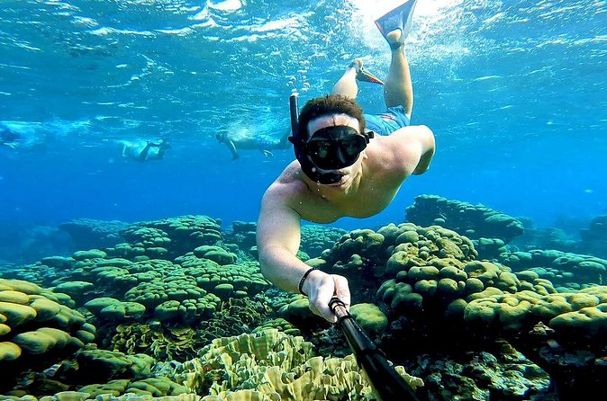 Tropical Dream Snorkel and Dinner Sail in Aruba - A Four-Course Meal On A Seven-Hour Sail