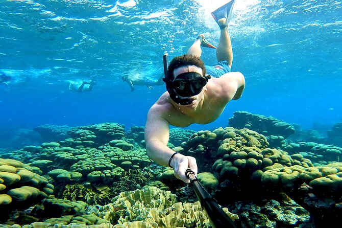 Tropical Dream Snorkel and Dinner Sail in Aruba - Boca Catalina And The Snorkeling Stops