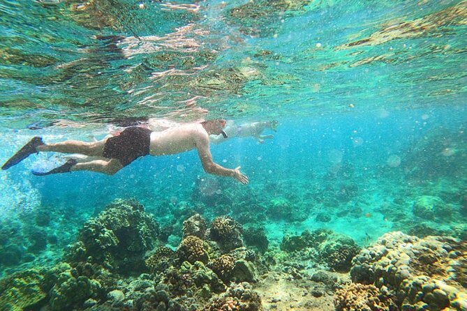Tropical Reef & Wildlife Boat Snorkel Adventure - Leaving Hilo Bay on a 35-foot yacht