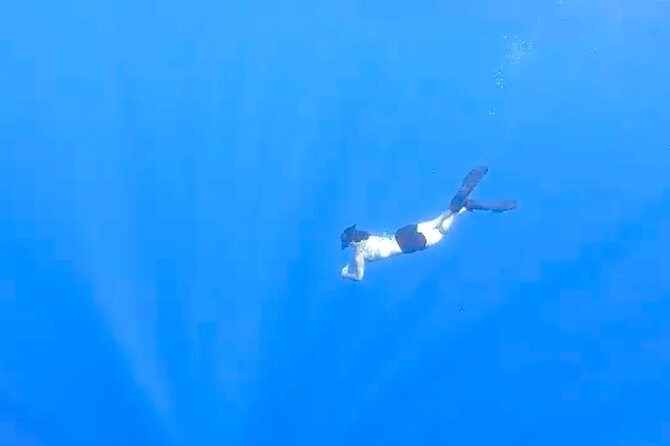 Tropical Reef & Wildlife Boat Snorkel Adventure - Why the six-person limit matters