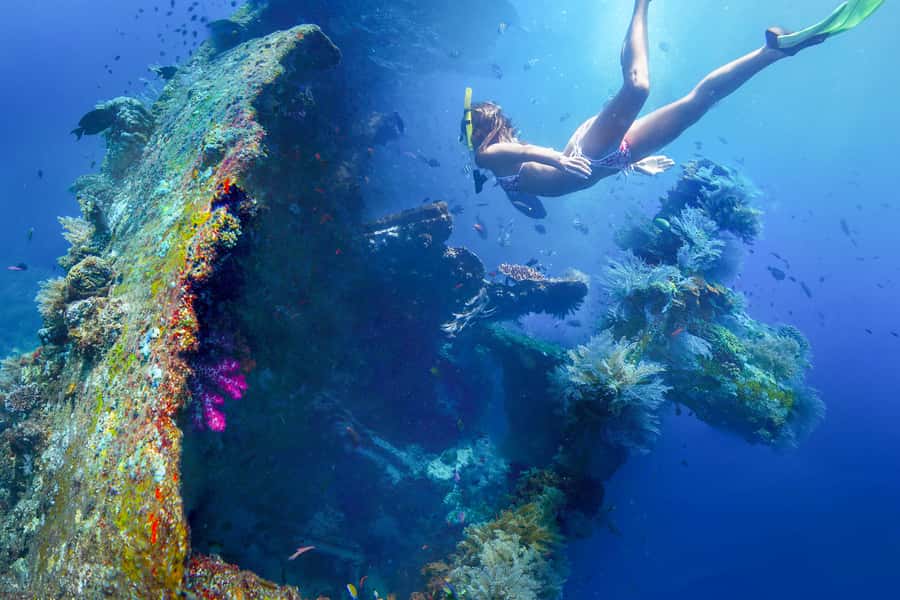 Tulamben: USAT Liberty Shipwreck Full-Day Snorkeling Trip - Key Points Before You Book