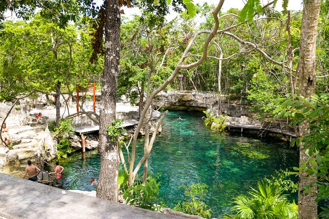 Tulum Akumal Snorkel Tour and 4 Cenotes Small Group All Fees Incl - Price, meals, and the real value