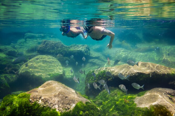 Tulum Guided Tour, Magical Cenote, Lagoon Snorkeling and Beachside Lunch - What to pack for a smoother day