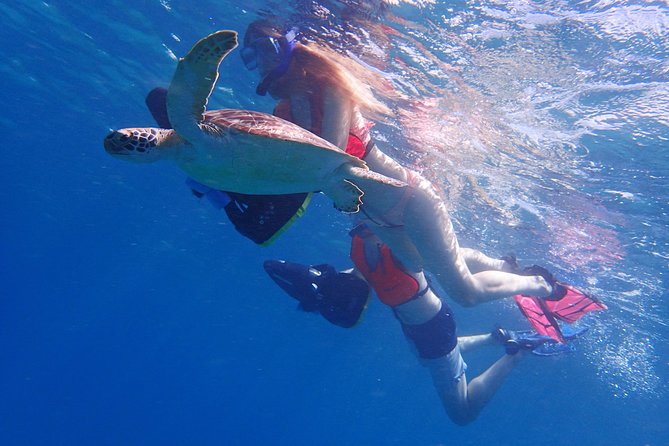 Turtle Beach Power Snorkeling Adventure - Why the sea scooter makes this Antigua outing different
