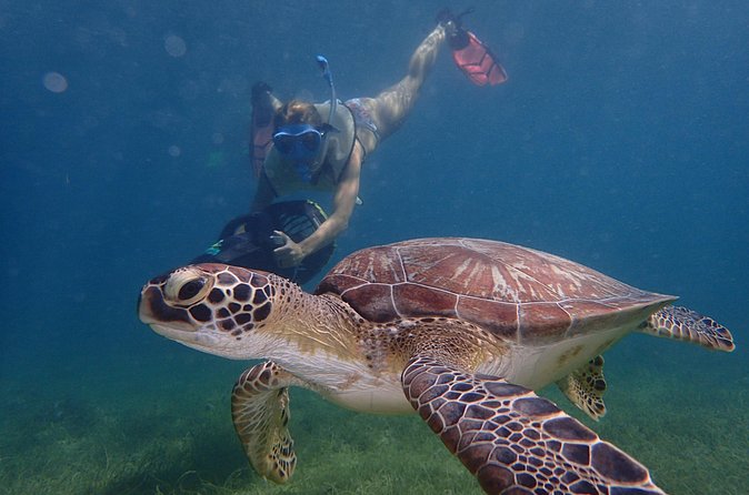 Turtle Beach Power Snorkeling Adventure - What the two-hour schedule feels like