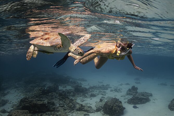 Turtle Snorkeling Aruba: Private Tour with Video - Meeting your guide at Boca Catalina