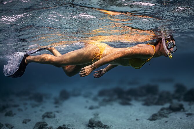 Turtle Snorkeling Aruba: Private Tour with Video - Morning timing, transport, and planning your day