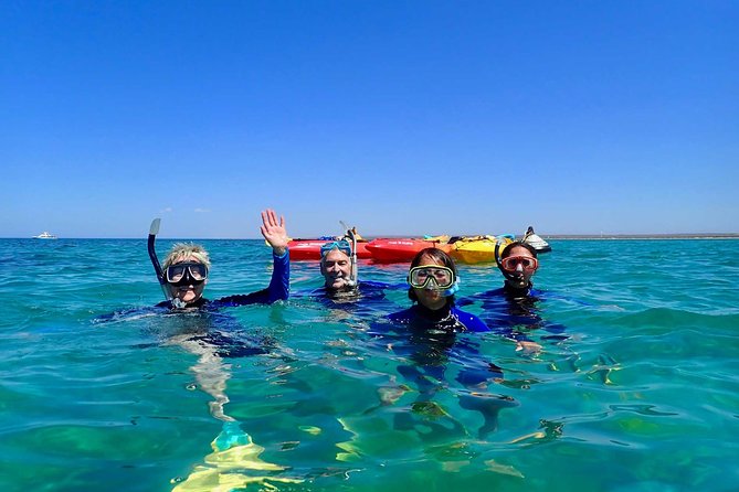Turtle Tour - Ningaloo Reef Half Day Sea Kayak and Snorkel Tour - Key Points Before You Book