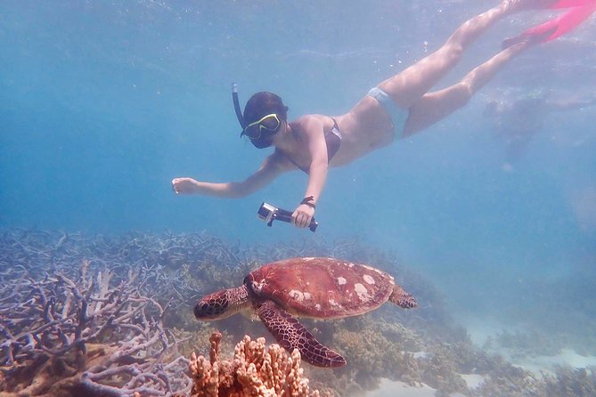 Turtle Tour - Ningaloo Reef Half Day Sea Kayak and Snorkel Tour - Is $107.59 Good Value?
