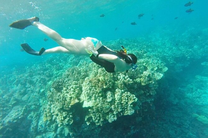 Two Reef Snorkel Trip-See Captain Cook Monument & Sea Caves - Honaunau Bay and the Place of Refuge