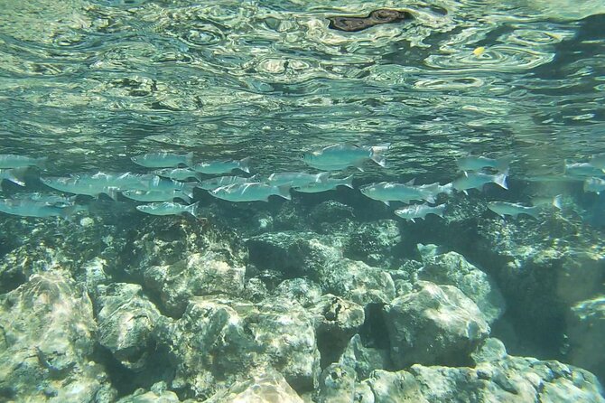 Two Reef Snorkel Trip-See Captain Cook Monument & Sea Caves - The return trip is part of the tour