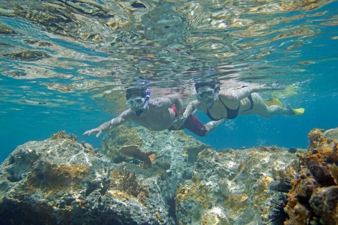 Two Stop Snorkel and Shipwreck from Dockyard - A short boat trip with two very different stops