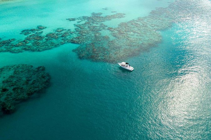 Two Stop Snorkel and Shipwreck from Dockyard - What the small group changes