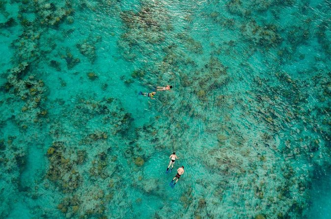 Two Stop Snorkel and Shipwreck from Dockyard - Price and value at $127.62