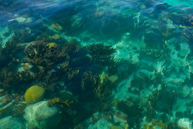 Two Stop Snorkel and Shipwreck from Dockyard - The shipwreck stop brings the biggest sense of adventure