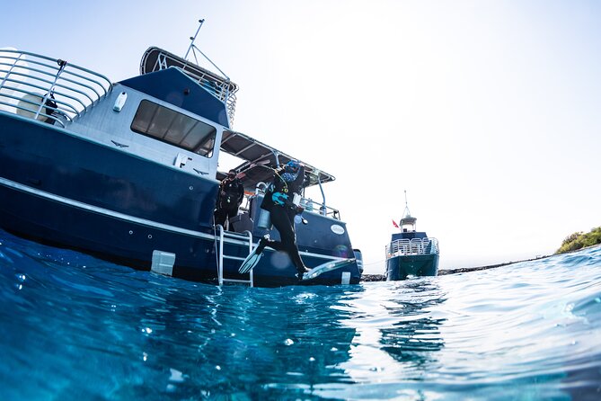 Two Tank Morning Reef Dive and Snorkel - Starting at Aquatic Life Divers at 8:00 a.m.