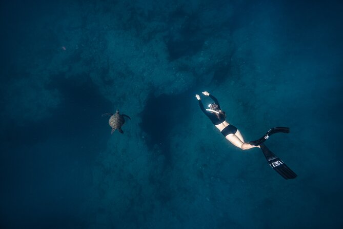 Two Tank Morning Reef Dive and Snorkel - Is $195 a fair price?