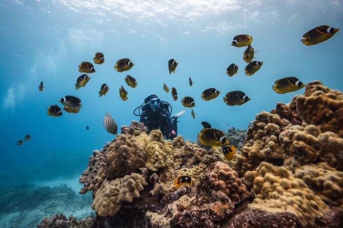 Two Tank Morning Reef Dive and Snorkel - Two Kona reef sites, not just one quick stop