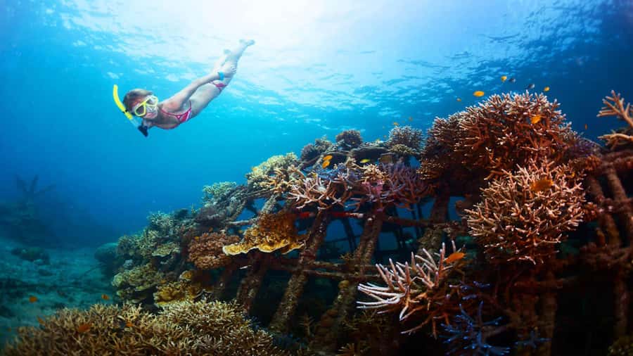 Ubud: Tegenungan Waterfall, Snorkeling, and Canyoning Tour - What the $71 price really gets you