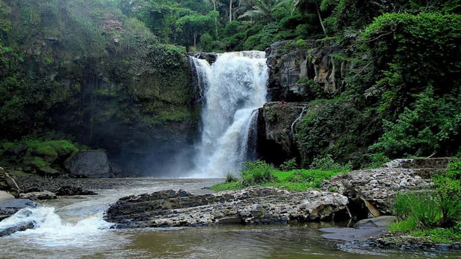 Ubud: Tegenungan Waterfall, Snorkeling, and Canyoning Tour - The guides are a major part of the experience