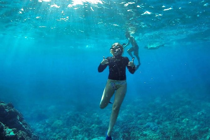 Ultimate 4 Hour Lanai Snorkel and Dolphin Encounter - Dolphins, turtles, and the value of good guides