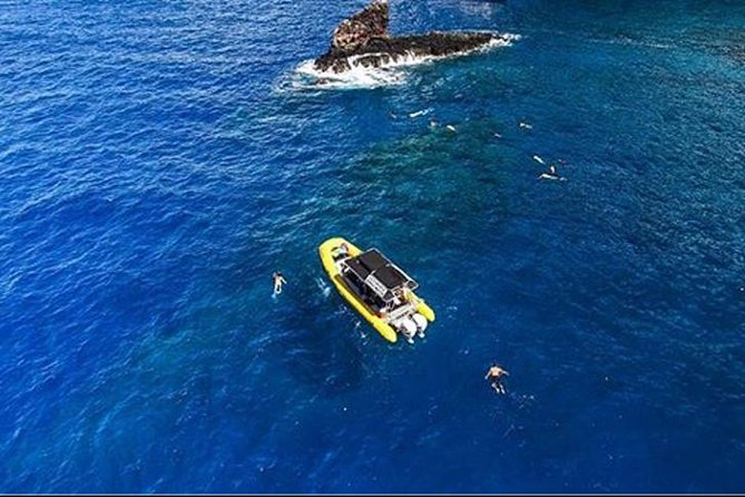 Ultimate 4 Hour Lanai Snorkel and Dolphin Encounter - Snacks, drinks, and what the $175 covers