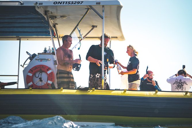 Ultimate 4 Hour Lanai Snorkel and Dolphin Encounter - Whale season from December through April