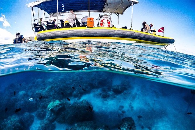 Ultimate 4 Hour Lanai Snorkel and Dolphin Encounter - Group size, comfort, and the small-boat tradeoff
