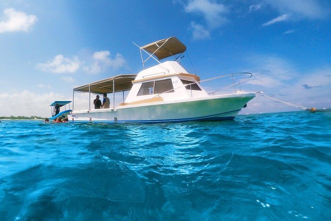 Ultimate 5x1 Combo with ATV, Ziplines, Cenote & Reef Snorkeling - Tacos and a Short Reset by the Sea