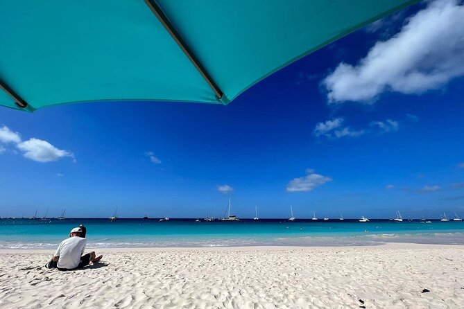 Ultimate Barbados Beach Day And Snorkel Cruise - Why Carlisle Bay makes this a good half-day outing